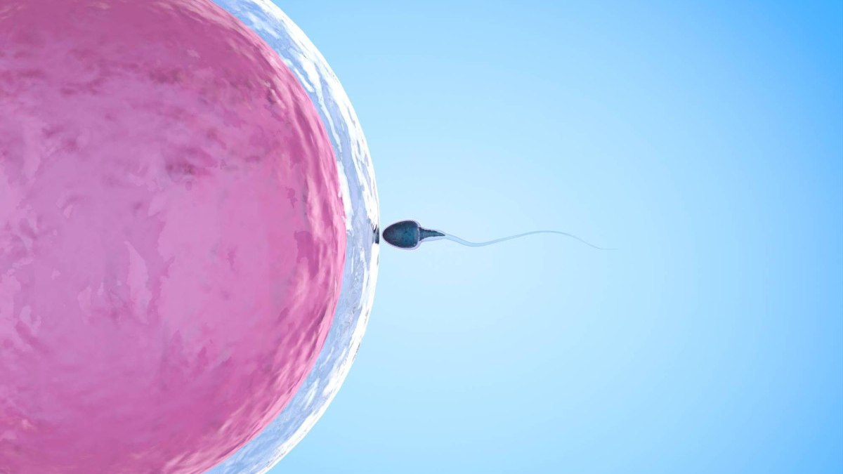 Avrupa’da genetik kriz: Sperm donörü bağışlarıyla kanser yaydı